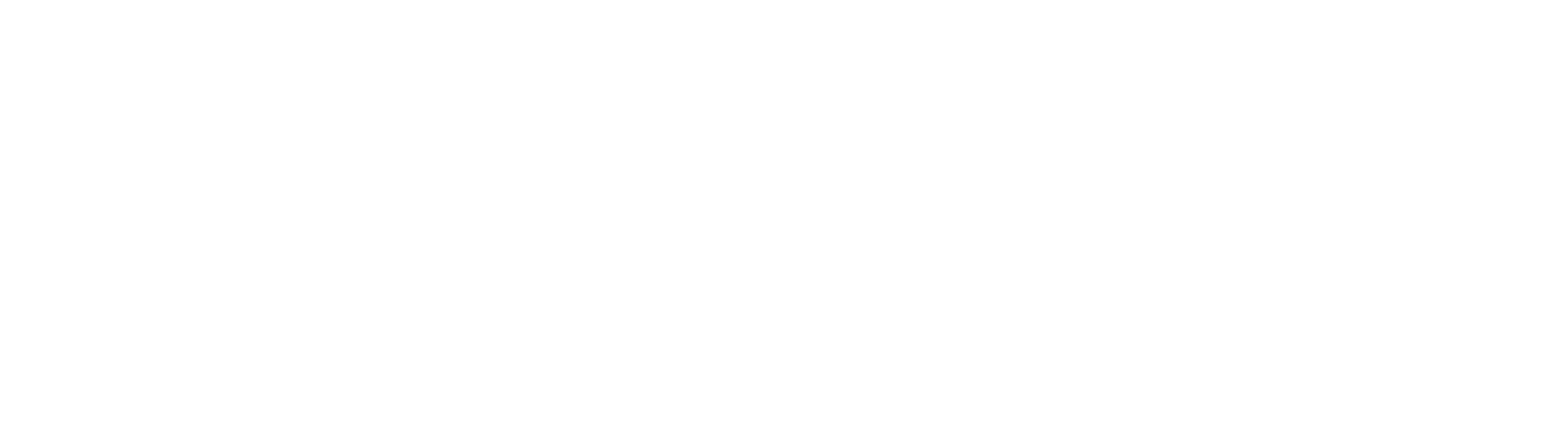 Passa alla homepage